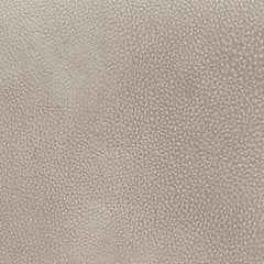 4Z-Peaceful Pause Power Lift Recliner