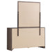 Brantford Dresser With Mirror - VIP FURNITURE (NJ)