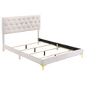 Kendall Panel Bed