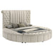 Sonya Queen Bed - VIP FURNITURE (NJ)