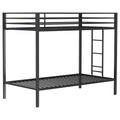 Alevera Bunk Bed