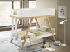 Frankie Bunk Bed - VIP FURNITURE (NJ)