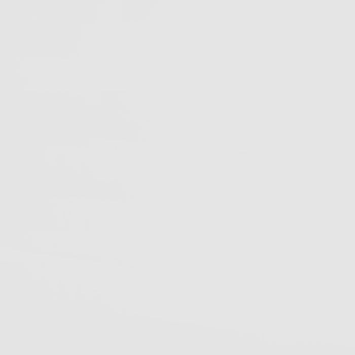 Frankie Bunk Bed - VIP FURNITURE (NJ)