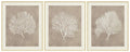 Hendridge Wall Art (Set of 3)