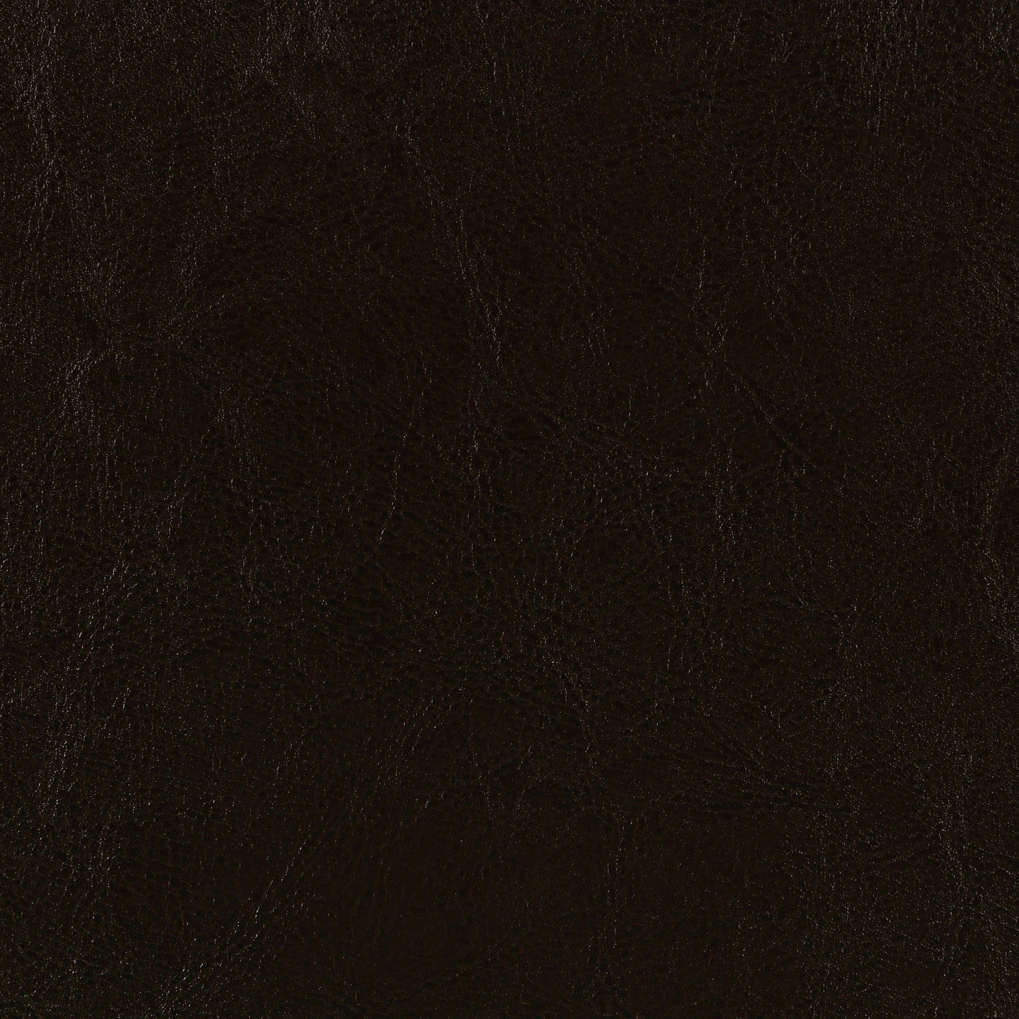 Dorian Panel Bed