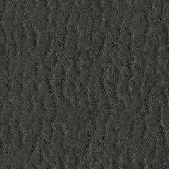 Revived and Restored Power Lift Recliner