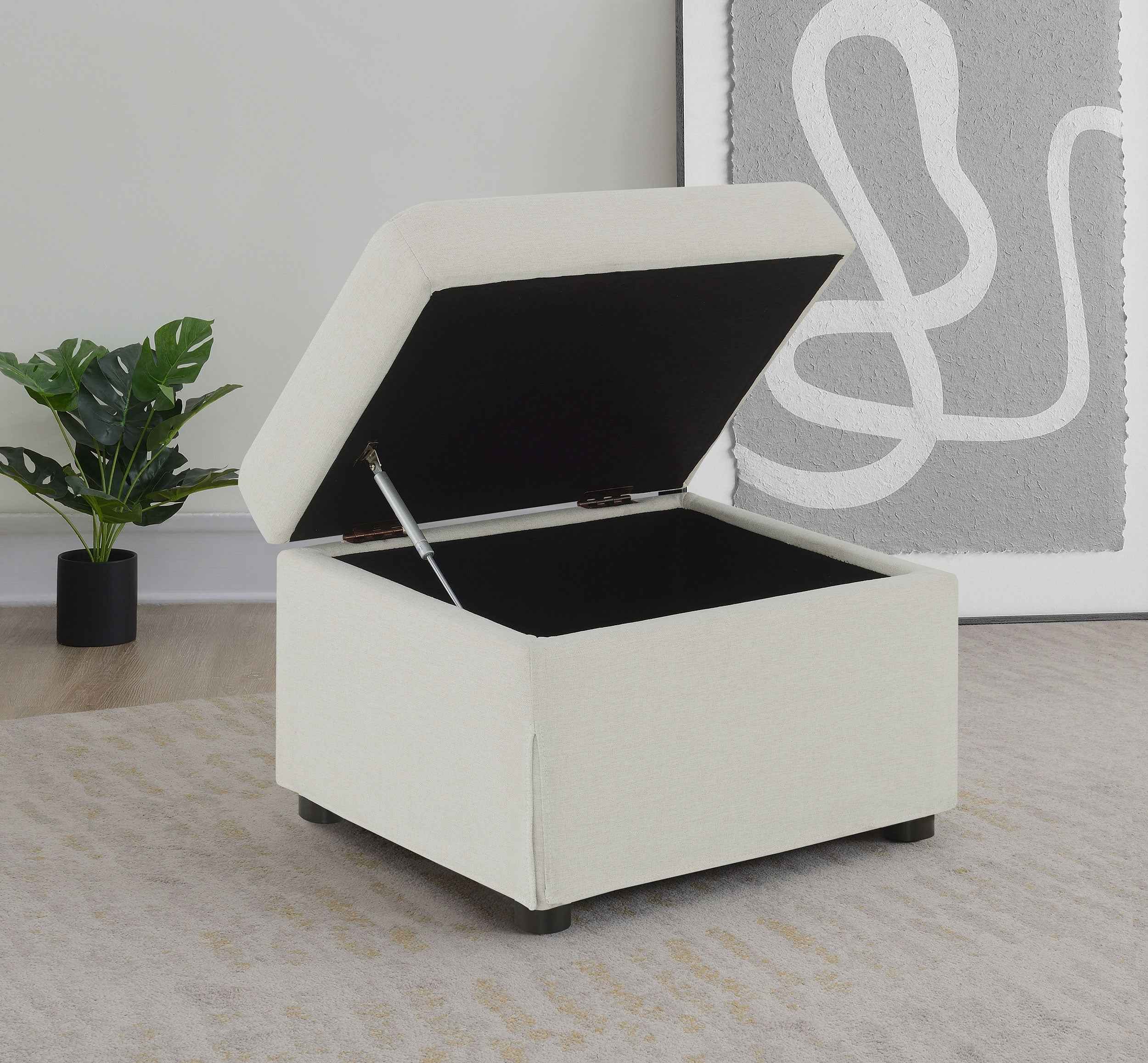 Winter Storage Ottoman