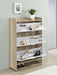 Denia Shoe Cabinet - VIP FURNITURE (NJ)