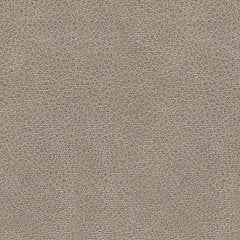 Narwhal Place Reclining Loveseat