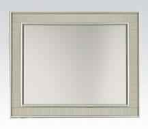 Acme Francesca Mirror in Champagne 62086