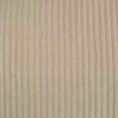 Icaman Swivel Accent Chair