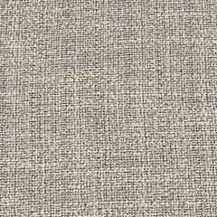 Beach Front Arm Chair with Cushion (Set of 2)