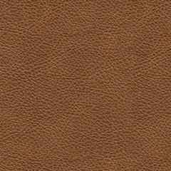 Carianna Sofa Sleeper