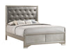 Queen Bed VIP Coaster Z2 Premium