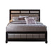 Barzini California King Upholstered Bed Black and Grey - VIP FURNITURE (NJ)