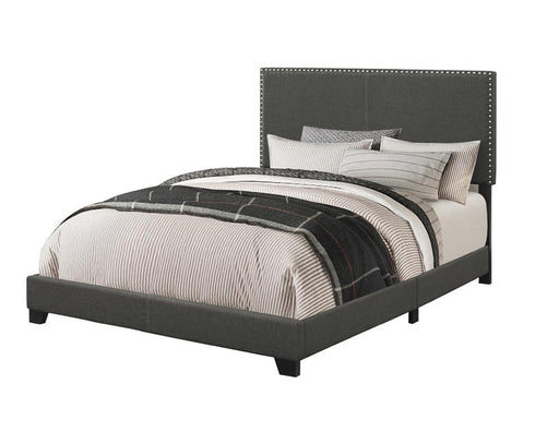Boyd Queen Upholstered Bed with Nailhead Trim Charcoal - VIP FURNITURE (NJ)