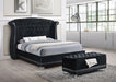 Barzini Queen Tufted Upholstered Bed Black - VIP FURNITURE (NJ)