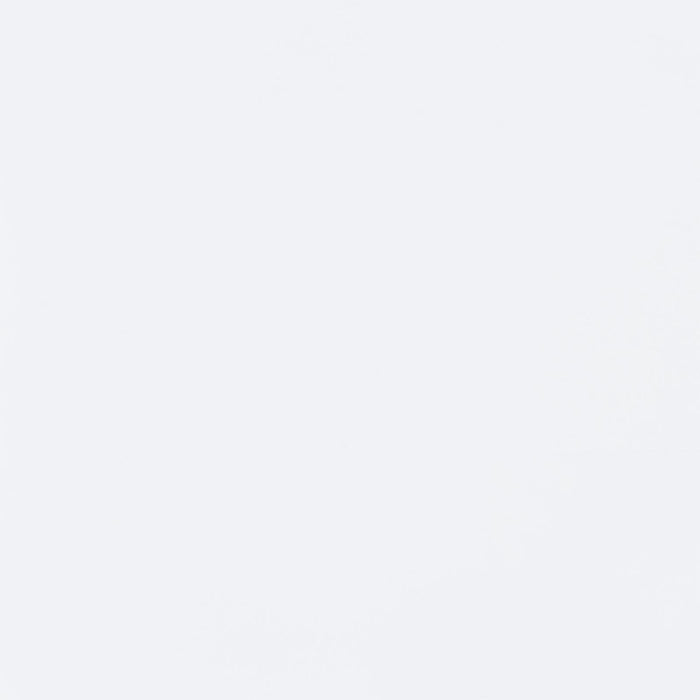 Tracy 2-drawer Computer Desk White - VIP FURNITURE (NJ)