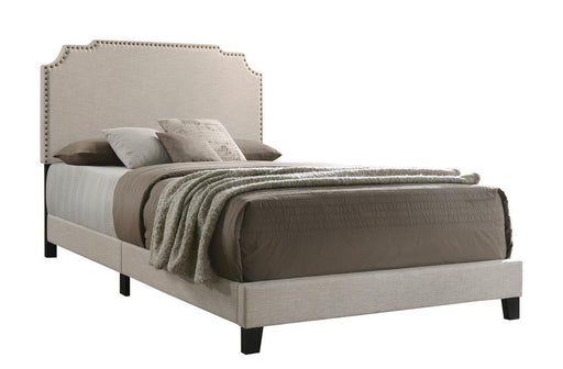 Tamarac Upholstered Nailhead Eastern King Bed Beige - VIP FURNITURE (NJ)
