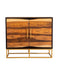 Zara 2-door Accent Cabinet Black Walnut and Gold - VIP FURNITURE (NJ)
