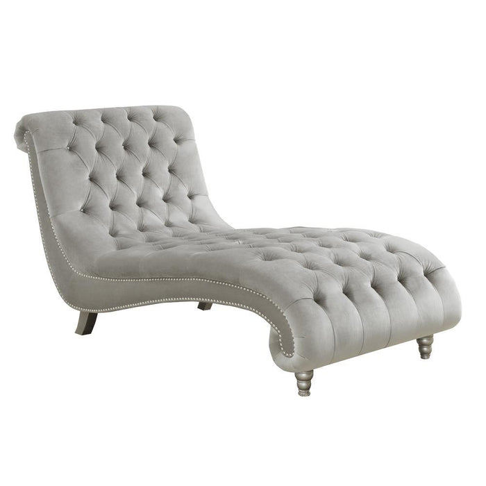 Lydia Tufted Cushion Chaise with Nailhead Trim Grey - VIP FURNITURE (NJ)
