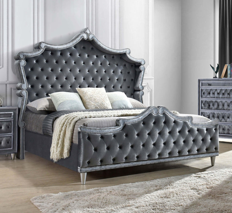 Antonella Upholstered Tufted Eastern King Bed Grey - VIP FURNITURE (NJ)