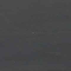 Greddinton Dining Chair