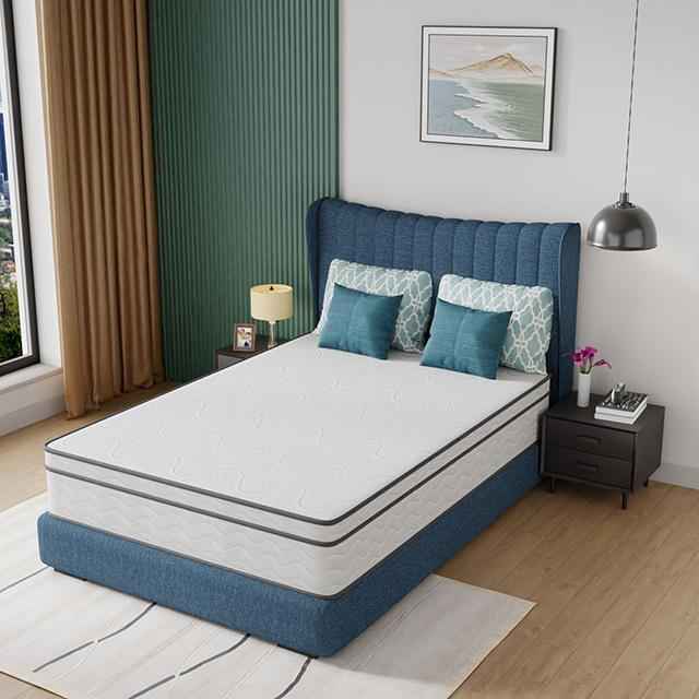 Catmint 12" Full Innerspring Mattress