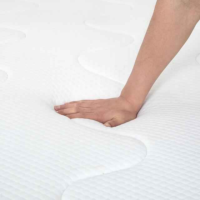 Catmint 10" Full Innerspring Mattress
