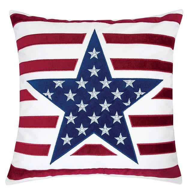 Texis Multi 20" X 20" Pillow