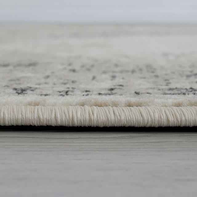 Kozlu Beige 5' X 7' Area Rug