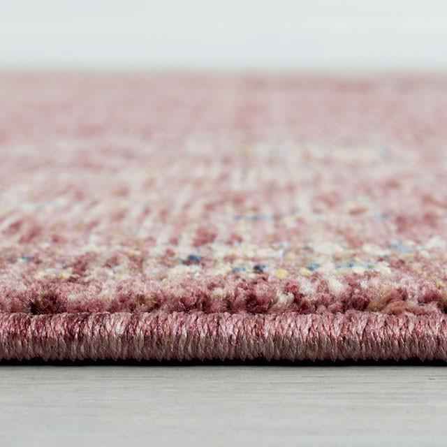 Payas Red 5' X 7' Area Rug
