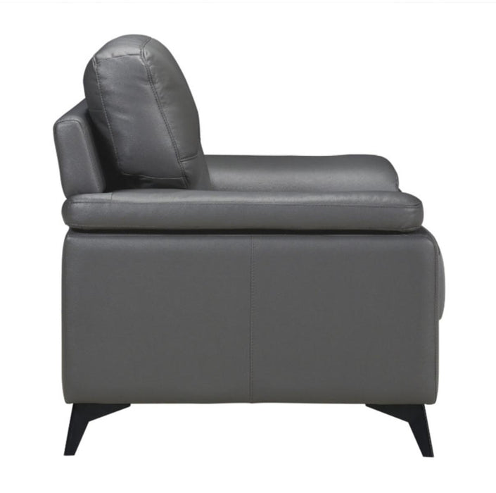 Mischa Chair in Dark Gray 9514DGY-1 - VIP FURNITURE (NJ)