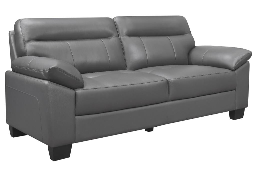 Denizen Sofa in Dark Gray 9537DGY-3 - VIP FURNITURE (NJ)