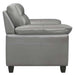 Denizen Chair in Gray 9537GRY-1 - VIP FURNITURE (NJ)