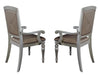 Orsina Arm Chair in Silver (Set of 2) - VIP FURNITURE (NJ)