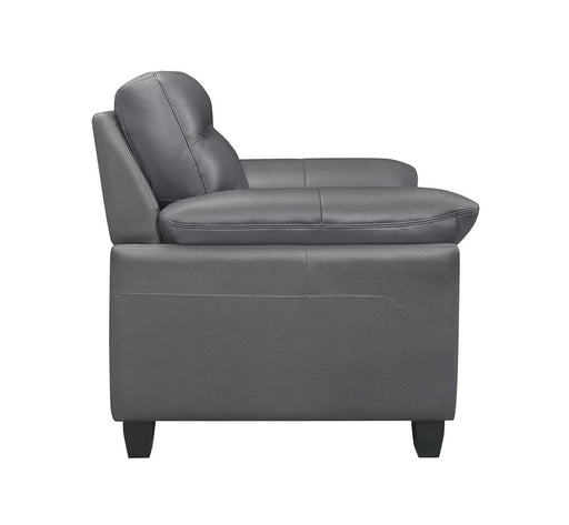Denizen Chair in Dark Gray 9537DGY-1 - VIP FURNITURE (NJ)