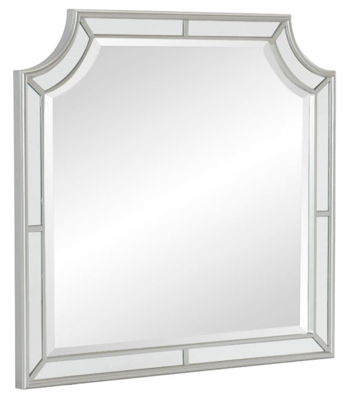 Avondale Mirror in Silver 1646-6 - VIP FURNITURE (NJ)