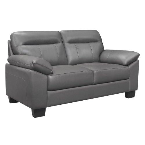 Denizen Loveseat in Dark Gray 9537DGY-2 - VIP FURNITURE (NJ)