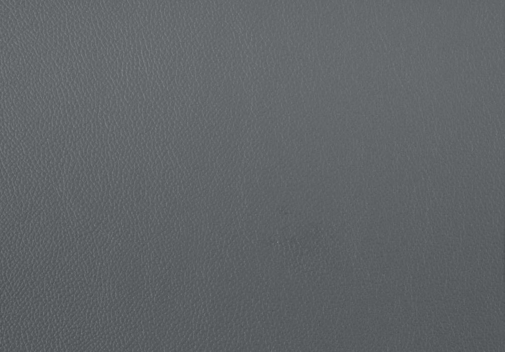 Denizen Chair in Dark Gray 9537DGY-1 - VIP FURNITURE (NJ)