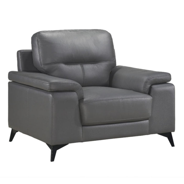 Mischa Chair in Dark Gray 9514DGY-1 - VIP FURNITURE (NJ)