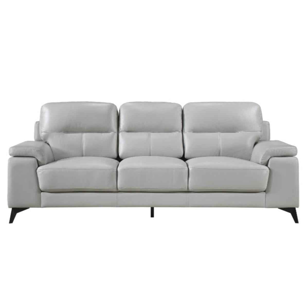 Mischa Sofa in Silver Gray 9514SVE-3