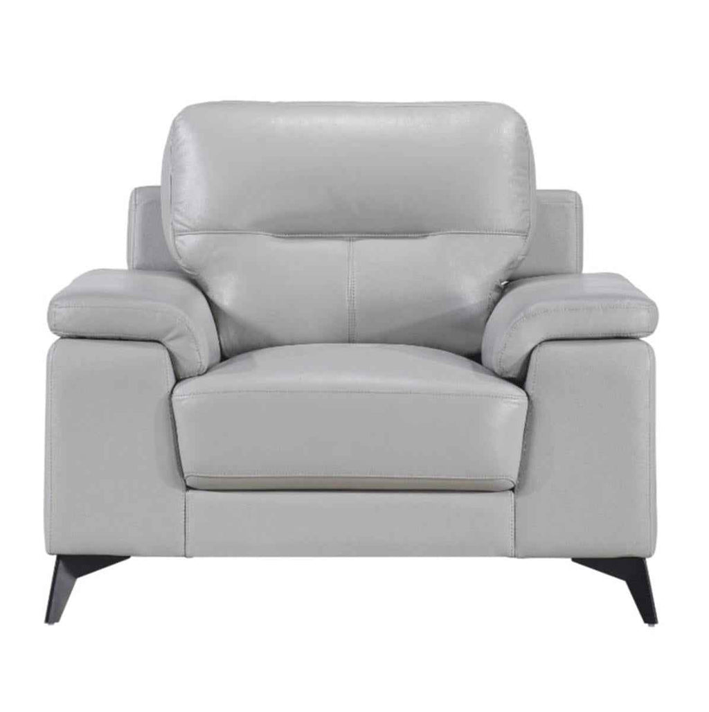 Mischa Chair in Silver Gray 9514SVE-1