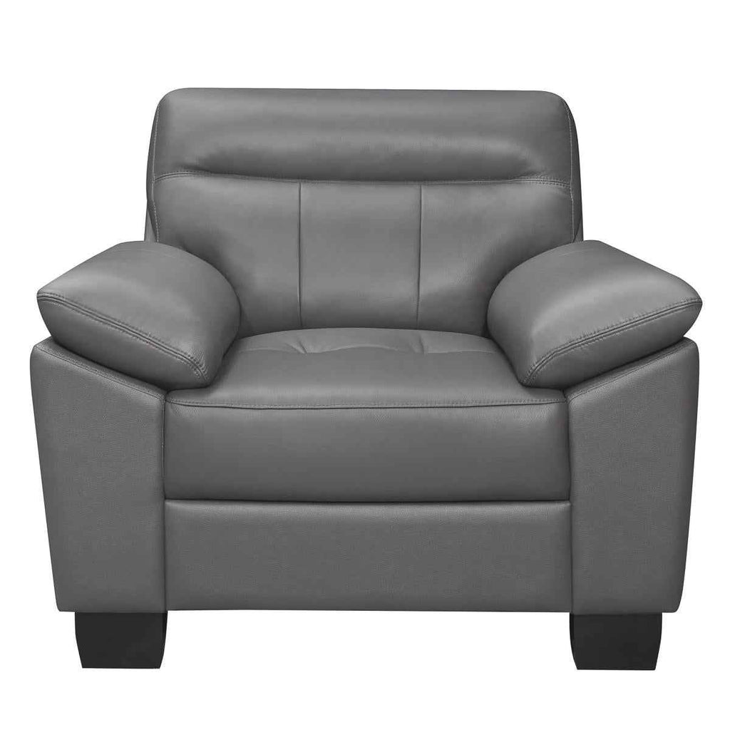 Denizen Chair in Dark Gray 9537DGY-1