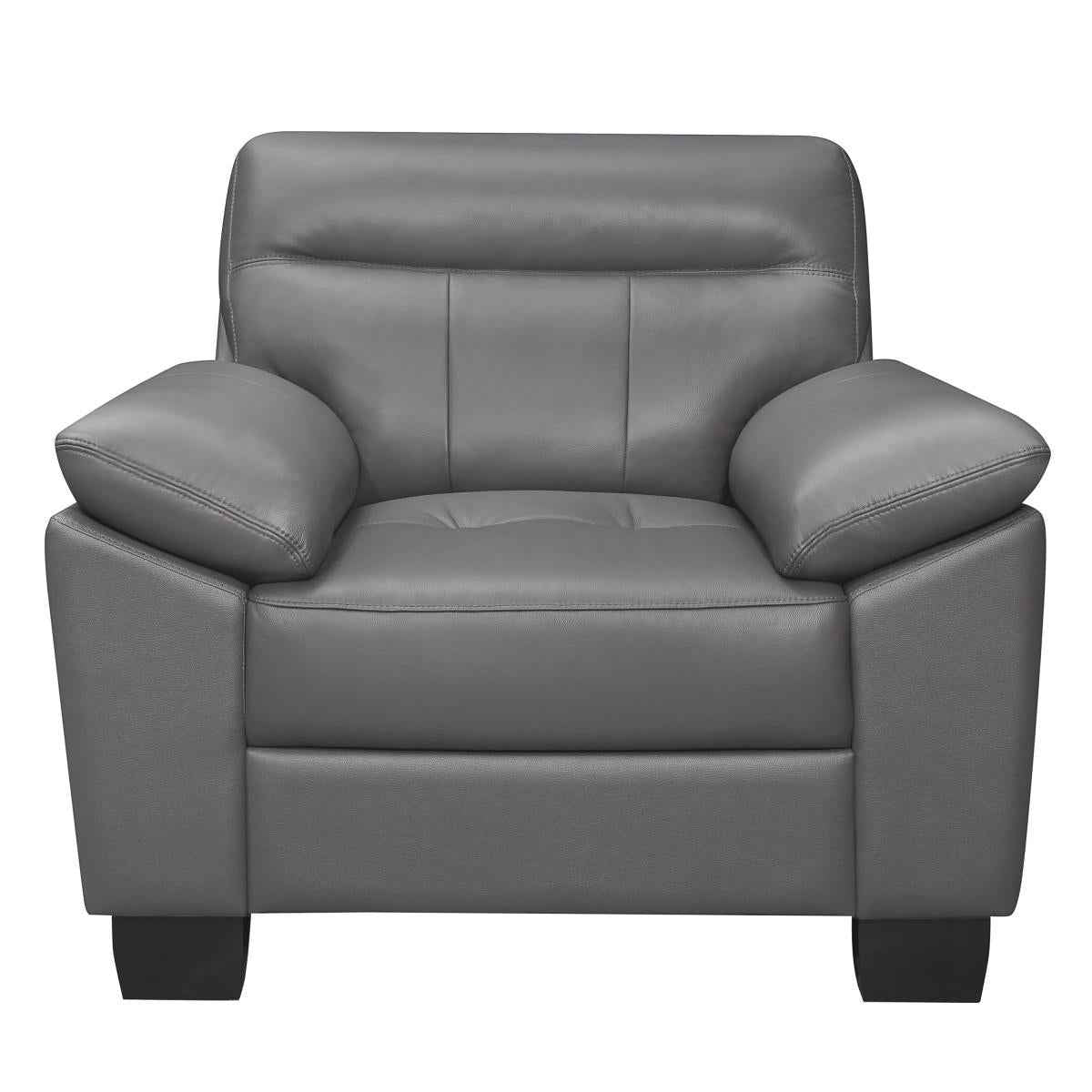 Denizen Chair in Dark Gray 9537DGY-1