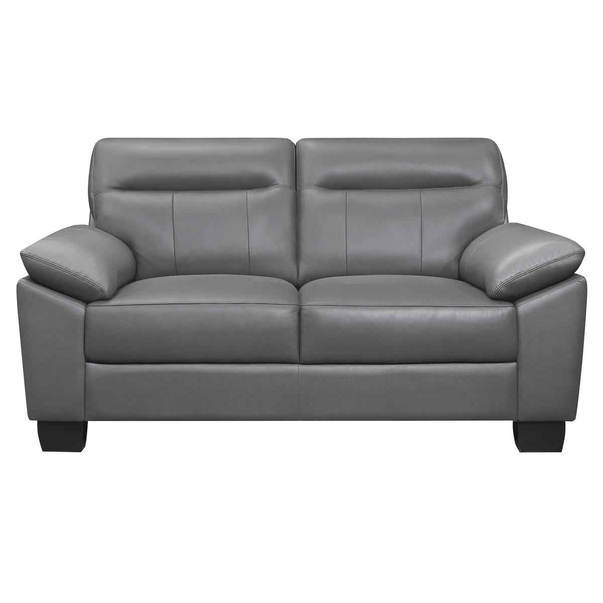 Denizen Loveseat in Dark Gray 9537DGY-2