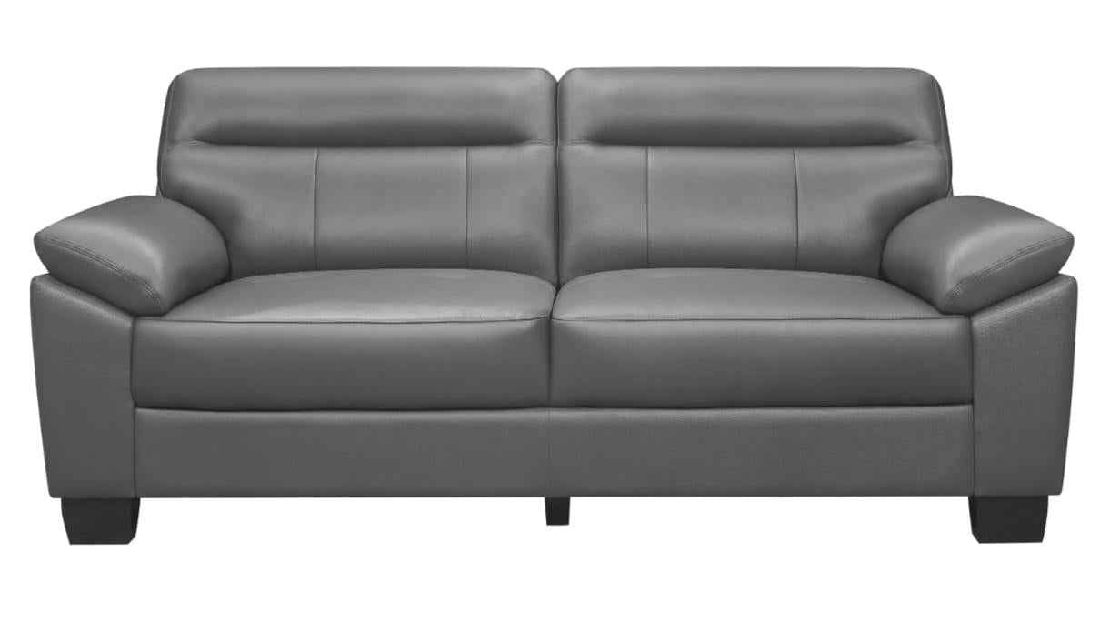 Denizen Sofa in Dark Gray 9537DGY-3