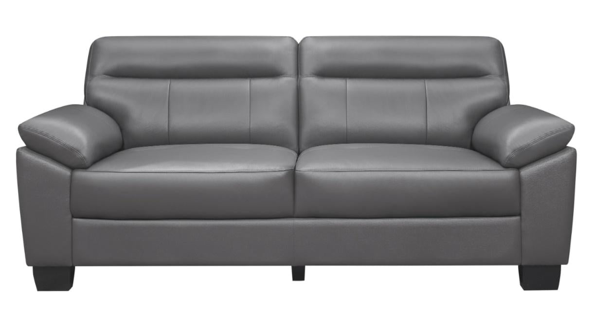 Denizen Sofa in Dark Gray 9537DGY-3 image