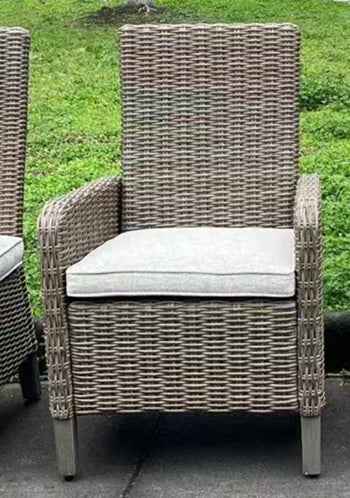 Laguna Heights Arm Chair with Cushion (Set of 2)