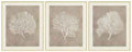 Hendridge Wall Art (Set of 3)